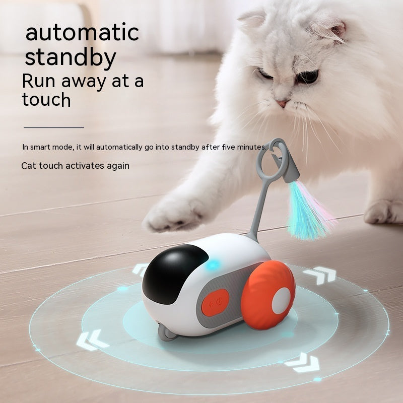 THE PET RC CAR