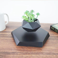 THE FLOATING PLANT POT